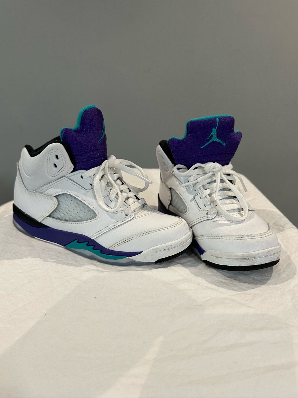 2025 Air Jordan 5 Retro OG “Grape”